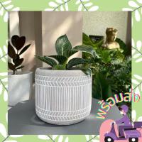 ราคา กระถางต้นไม้ปูนเปลือย ขนาด 6 หิ้ว พร้อมส่ง (10224581168)