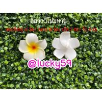 ราคา ดอกลีลาวดีลอยน้ำ งานนำเข้า (1117788680)