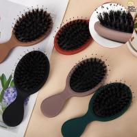 ราคา [CL] 1PC Oval Boar Bristle & Nylon Hair Comb Anti-static Hair Scalp Massage Comb Hairbrush Salon Hair Care Brush เครื่องมือจัดแต่งทรงผม TH (28565593917)