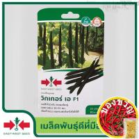 ราคา เมล็ดอวบอ้วน100�st-West Seed เมล็ดพันธุ์บวบเหลี่ยม (Luffa seeds) วิกเกอร์เอ F1 เมล็ดพันธุ์ผัก เมล็ดพันธุ์ ผักสวนครัว บวบ (23125161617)