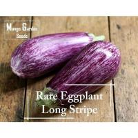 ราคา * กระถางปลูก, เมล็ดมะเขือยาวลายยาวสีขาว * หายาก * เมล็ดมะเขือยาวสีขาว-สวนมะม่วงลายทาง (20779415896)