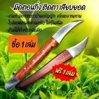 ราคา มีดตอนกิ่งติดตาเสียบยอดซื้อ 1 แถม 1 (23743779621)