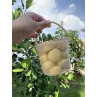 ราคา คุกกี้ไส้สับปะรด ทาร์ตสับปะรด ทาร์ตไส้สับปะรด ทาร์ตสับปะรดสูตรเนยสด คุกกี้ไส้สับปะรด หอม นุ่ม ไส้แน่น ขนาด 18 ชิ้น (16999536866)