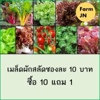 ราคา เมล็ดผักสลัด เมล็ดผัก 10แถม1 เมล็ดผักกินใบ เมล็ดผักสลัด (11572981237)