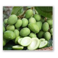 ราคา มะม่วงเบาใต้ (1000 กรัม) รสชาติกรอบอร่อย ปลอดสาร สวนเกษตรอินทรีย์ (24291111883)