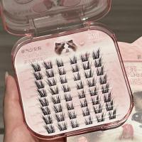 ราคา Lishu Cat Series เจ้าหญิงใหญ่เหนียวกาวฟรีขนตาปลอมจําลองธรรมชาติผมนางฟ้าสามเณรหญิงคลัสเตอร์เดี่ยวไม่มีแต่งหน้าสามเณร20260108 (46705716206)