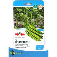 ราคา เมล็ดถั่วพู กำแพงแสน ตราศรแดง (7839909462)