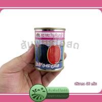 ราคา แตงโม กินรี C-29 (ลูกใหญ่) เมล็ดพันธุ์แตงโมลูกผสม กินรี C-29 (ลูกใหญ่) ตราตะวันต้นกล้า ปริมาณ 40 กรัม (25250023052)