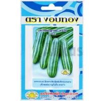 ราคา เมล็ดแตงไทยอ่อนลูกผสม สายเงิน งอบทอง (25886513401)