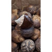 ราคา แหวนลูกปาล์มหัวหางกระเบน (41067086252)