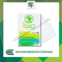 ราคา Flowers กระดาษอาร์ตมัน กระดาษมัน ทำนามบัตร ขนาด A4 ผิวมันเงา (210 แกรม 50 แผ่น/แพ็ค) | คลังกระดาษ (7520684978)