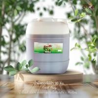 ราคา Forest Honey 30 kg. น้ำผึ้งดอกไม้ป่า "น้ำผึ้งแท้ 100%" แบรนด์ Golden Bee (25684016895)