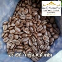 ราคา ♛℗เมล็ดกาแฟ อราบิก้า ปางขอน คั่วเข้ม 500 กรัม Arabica 100% French Dark Roast (8465160560)