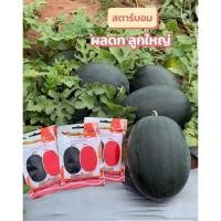 ราคา เมล็ดพันธุ์แตงโม สตาร์บอม ตรา ดาวทอง ขนาด 40 กรัม (40652812158)