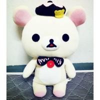 ราคา โคริ ขนาด 17" ราคาไม่แพง (732922532)