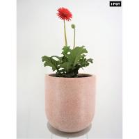 ราคา I-POT กระถางหินขัดแท้น้ำหนักเบา กระถางไฟเบอร์เทอร์ราซโซ รุ่น แคปซูล ขนาด ขนาด ก.30 ย.30 ส.30 ซม.(12นิ้ว) (6393659317)