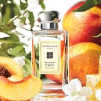 ราคา Jo Malone London Nectarine Blossom Honey 100 ML พร้อมกล่อง (2368418419)