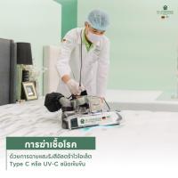 ราคา De hygienique บริการทำความสะอาดที่นอนอันดับ 1 ฆ่าเซื้อโรค แก้ปัญหาแพ้ไรฝุ่น ด้วยเทคโนโลยีจากเยอรมนี (25947174811)