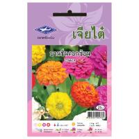 ราคา บานชื่นดอกซ้อน คละสี เมล็ดพันธุ์ ดอกบานชื่น (758247205)