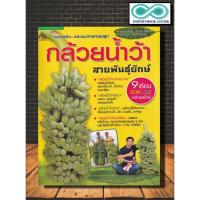 ราคา หนังสือเกษตร กล้วยน้ำว้าสายพันธุ์ยักษ์ : พืชและการเกษตร บทสัมภาษณ์ การปลูกกล้วย พืชเศรษฐกิจ (Infinitybook Center) (21076432592)