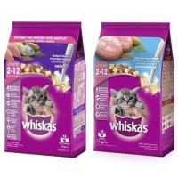 ราคา วิสกัส ลูกแมว 2-12 เดือน 450g (4537970330)