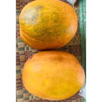 ราคา เมล็ดพันธุ์แตงไทยลูกกลม 10 เมล็ด 12 บาทสายพันธุ์ลูกกลม หอมหวาน (29525662784)