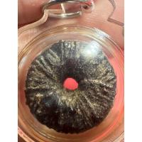 ราคา ตะกรุดพิศมร หลวงพ่อแก้ว วัดพวงมาลัย (24912661393)