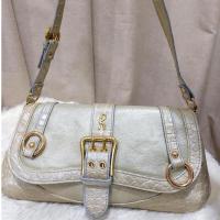 ราคา Roberta di Camerino Pouch Bag แบรนด์แท้ กระเป๋าสะพายข้างมือสอง ของแท้ (28201262225)