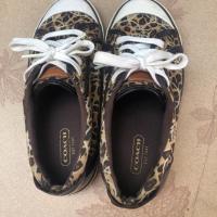 ราคา รองเท้าผ้าใบลายเสือ Coach (4916458806)