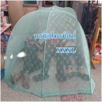 ราคา มุ้งครอบ มุ้งครอบผู้ใหญ่ มุ้งครอบกันยุงผ้าลูกไม้แท้100%ทอลาย(ไม่พิมพ์ลาย)XL/XXL/XXXL (1624266367)