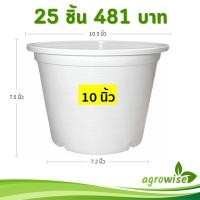 ราคา กระถางต้นไม้ สีขาว กระถางพลาสติก กระถางต้นไม้พลาสติก 4 นิ้ว 6 นิ้ว 8 นิ้ว 10 นิ้ว 12 นิ้ว (16304689845)
