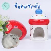 ราคา บ้านเซรามิกสัตว์เล็ก Ceramic Small Pet House บ้านหนู บ้านสัตว์ฟันแทะ บ้านเย็น แฮมเตอร์ กระรอก เม่น หนู (21518583201)
