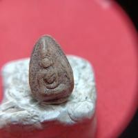 ราคา พระนางพญาเนื้อผงจิ๋วเก่าไม่ทราบที่ (47900905600)