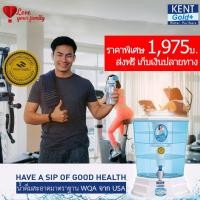 ราคา Dr. Green Energyเครื่องกรองน้ำมาตรฐาน(NFS, WQA) KENT Gold+ 3 ขั้นตอน ( SF+ ACF +UF ) ไม่ใช้ไฟ อันดับ 1 จากประเทศ อินเดีย (17520694192)
