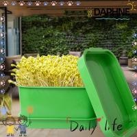 ราคา หม้อปลูกจานงอก DAPHNE พร้อมฝาครอบถาดพลาสติก Sprouting Kit หม้อเพาะเมล็ดถั่วเขียว (44755010691)