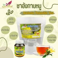 ราคา ชาอังกาบหนู ขนาด 100 ซองชา เกรดพรีเมี่ยม ใบล้วน ๆ คัดเฉพาะยอดอ่อนเท่านั้น Porcupine flower tea อังกาบหนู สมุนไพรออแกร... (23940073360)