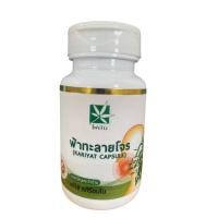 ราคา ฟ้าทะลายโจร สมุนไพรฟ้าทะลายโจร ฟ้าทะลายโจรแคปซูล Androgapholide ไผ่เงิน บรรจุ 30 แคปซูล (28888044273)