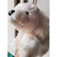 ราคา ตุ๊กตาหมีขั้วโลกลิขสิทธิ์แท้มือสองสภาพดีขนาดประมาณ 10 นิ้ว (26033514398)