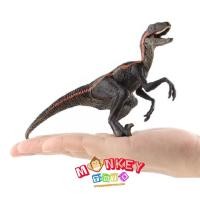 ราคา Monkey Toys โมเดล ไดโนเสาร์ Velociraptor แถบส้ม ขนาด 16.00 CM (จากหาดใหญ่) (16274966877)