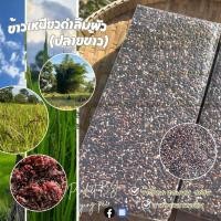 ราคา ข้าวลืมผัวปลายข้าว ข้าวหัก เหนียวดำลืมผัว อร่อยสารอาหารเท่าเดิม ขนาด 1 กก (29371585344)