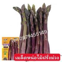 ราคา เมล็ดหน่อไม้ฝรั่ง / หน่อไม้ฝรั่งม่วงเมล็ดหน่อไม้ฝรั่งMary Washington (2970514279)