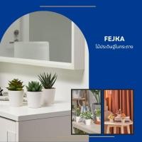 ราคา [ อีเกียแท้ ] ไม้ประดิษฐ์ในกระถาง FEJKA (42470536955)