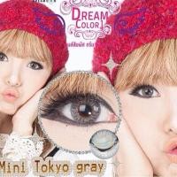 ราคา คอนเเทคเลนส์ สี Mini Tokyo gray (1215697)