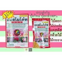 ราคา ออสโมโค้ท (Osmocote) สูตร 13-13-13 สารอาหารปุ๋ยละลายช้า สูตร 3 เดือน ขนาด 1กิโลกรัม ออสโมโค้ด ออสโมโคด ออสโมโค้ส (6867114007)