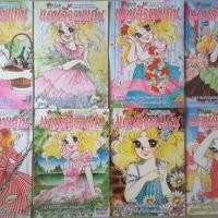 ราคา แคนดี้จอมแก่น 8 เล่มจบ (2411121856)