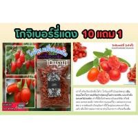 ราคา โกจิเบอร์รี่แดง ขนาด 100 กรัม เก๋ากี้แดง สมุนไพรจีน ชา ผัก เครื่องเทศ สมุนไพรไทย ป้องกัน รักษา บำรุง ยาจีนโบราณ ผลไม้ (27256713754)