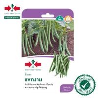 ราคา ถั่วแขก แขกงาม 100 เมล็ด ศรแดง (26604756450)