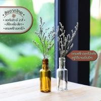 ราคา Tiny Bottle With Flower ขวดแก้วจิ๋วพร้อมดอกไม้แห้ง | ขวด แจกัน แก้ว ใส เครื่องปรุง น้ำเชื่อม เสิร์ฟ กาแฟ ค็อกเทล จัด (10608744682)