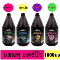 ราคา แคร์บิว แฟนตาซี บิวตี้ แชมพู / ครีมนวด 1000 มล. (4939258242)