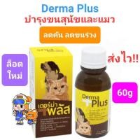 ราคา Derma Plus 60ml เดอร์มา พลัส บำรุงขนและผิวหนัง สำหรับสุนัขและแมว ชนิดน้ำ ดูดซึมง่าย ขนาด 60 มล. (23259477394)